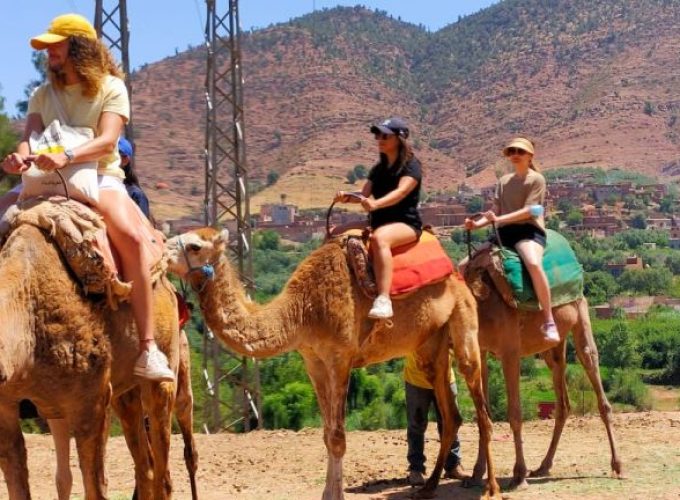 Morocco Tours and Activities