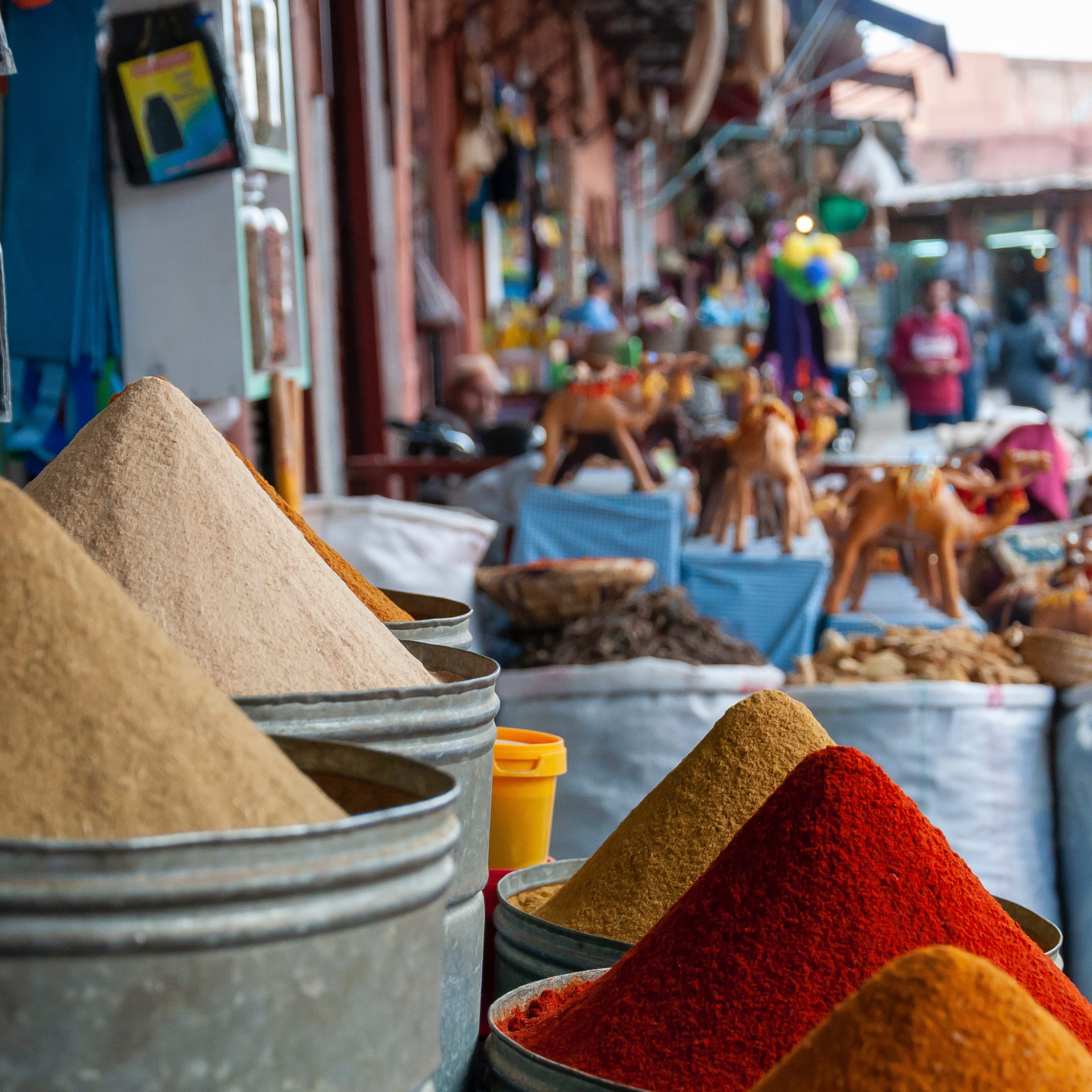Morocco tour with mercob.com